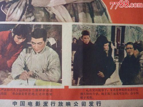 多米尼加护照作假